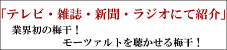 梅干し,梅,青梅,梅肉エキス,紀州南高梅干通販の専門店 - 深見梅店 - 